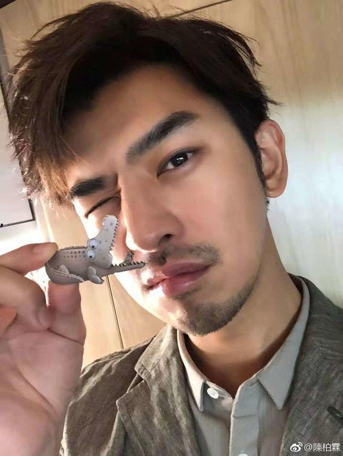 陈柏霖的爆料视频大全,揭秘明星私生活幕后故事